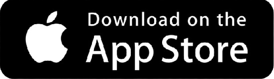 Playstore Logo