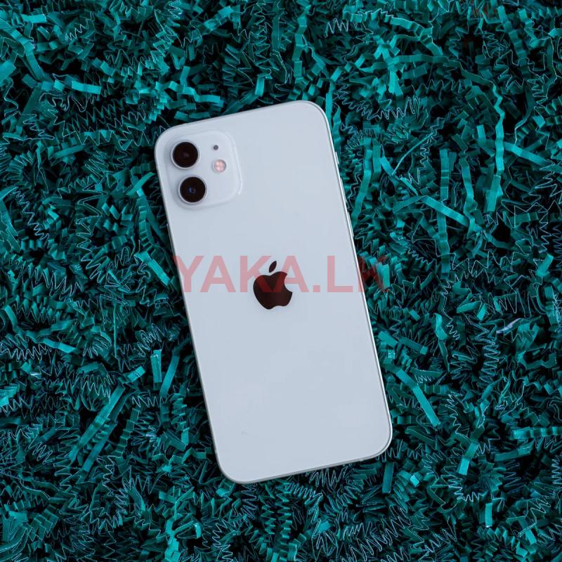 Apple 12