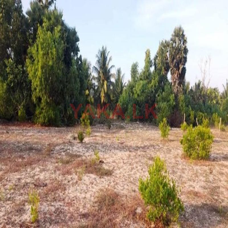 Land For Sale (වටිනා ඉඩමක්)