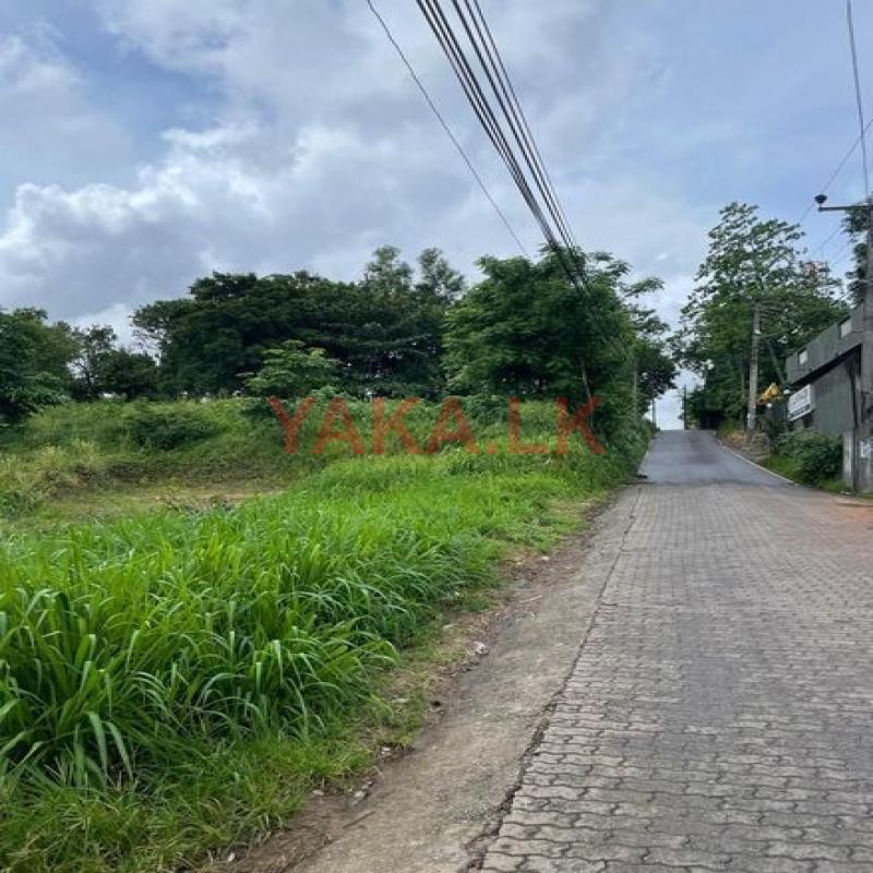 Land for Sale in Horahena Road Hokandara