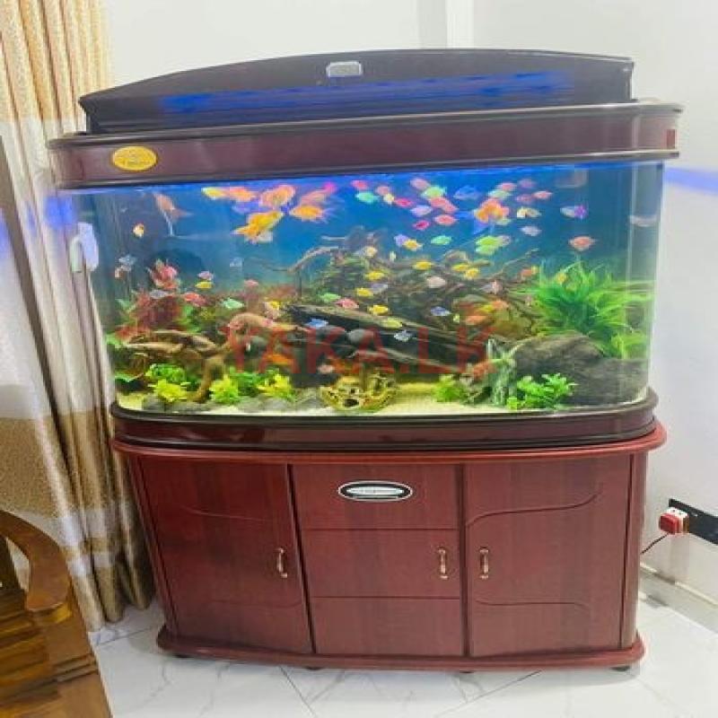 Fish Tank
