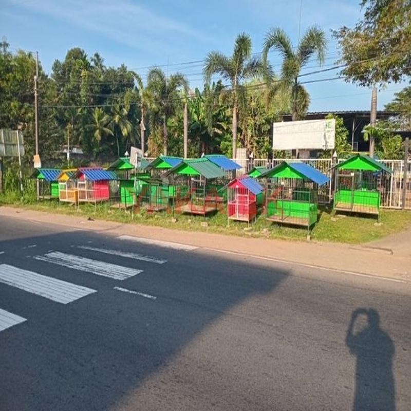 Dog cages