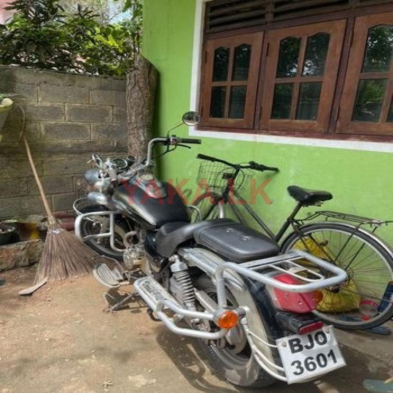 Loncin LX 2004