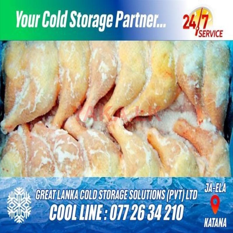Cool Room Reefer Container Storage Facilities.