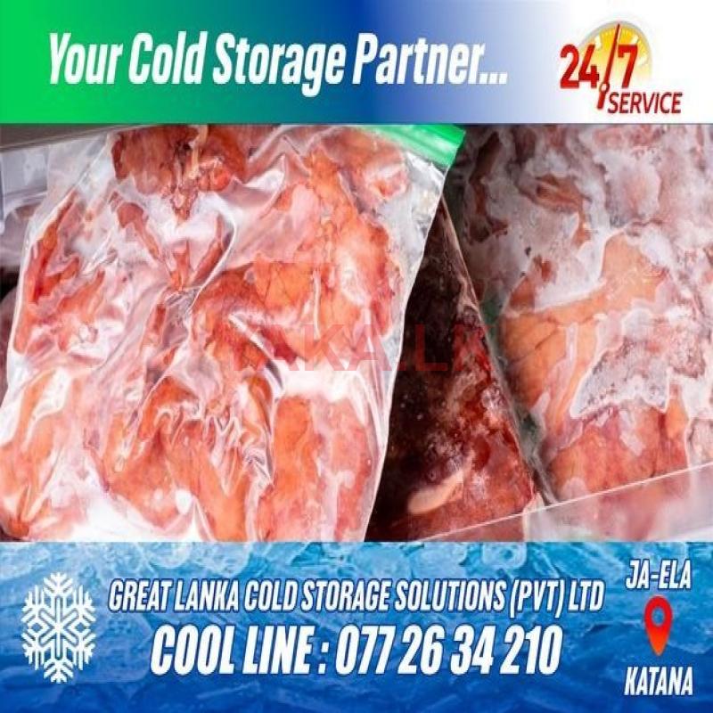 Cool room reefer container storage facilities,