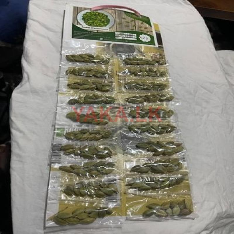 එනසාල් කාඩි
