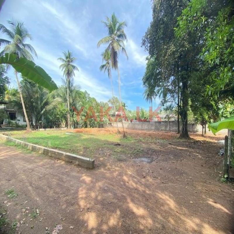 Land for Sale Eheliyagoda