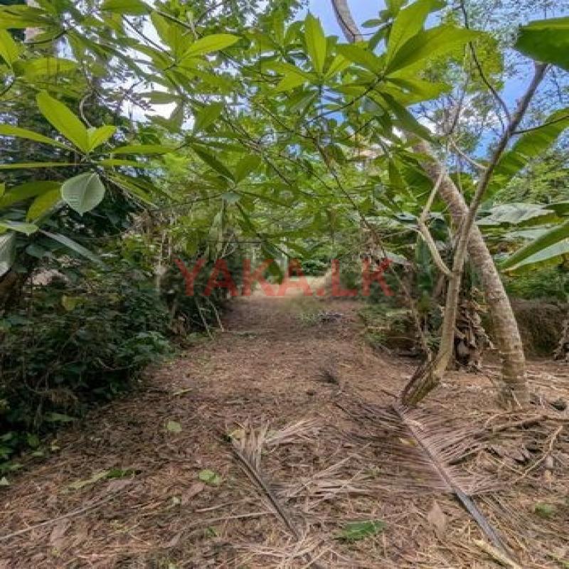 Land for Sale Walpola