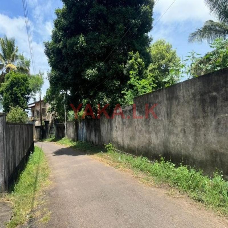 Commercial Land For Rent In Piliyandala Near Bypass Road