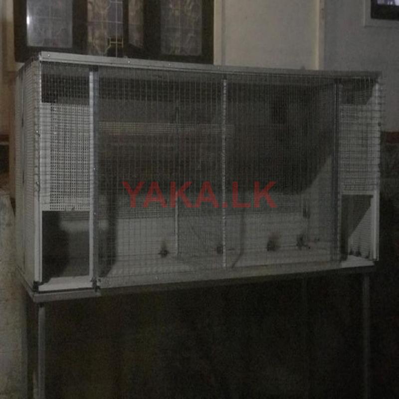 Bird Cage