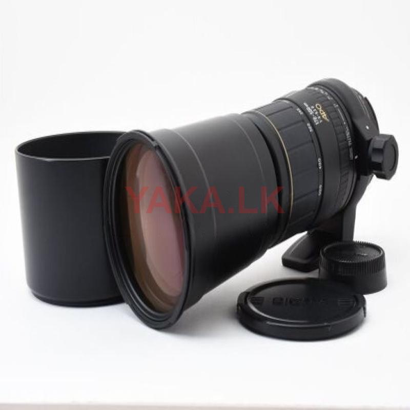 nikon DSLR wildlife lens