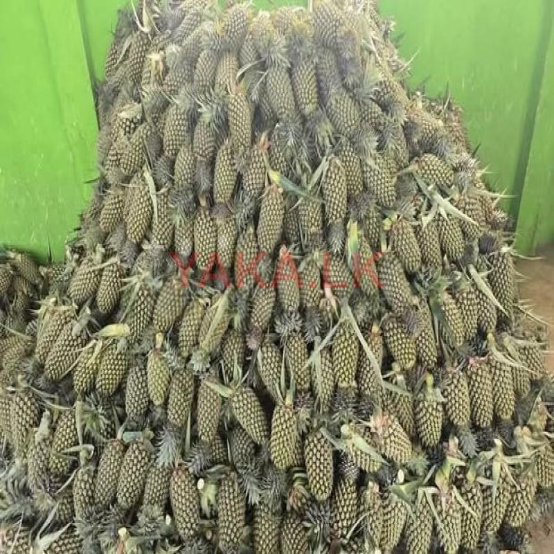අන්නාසි