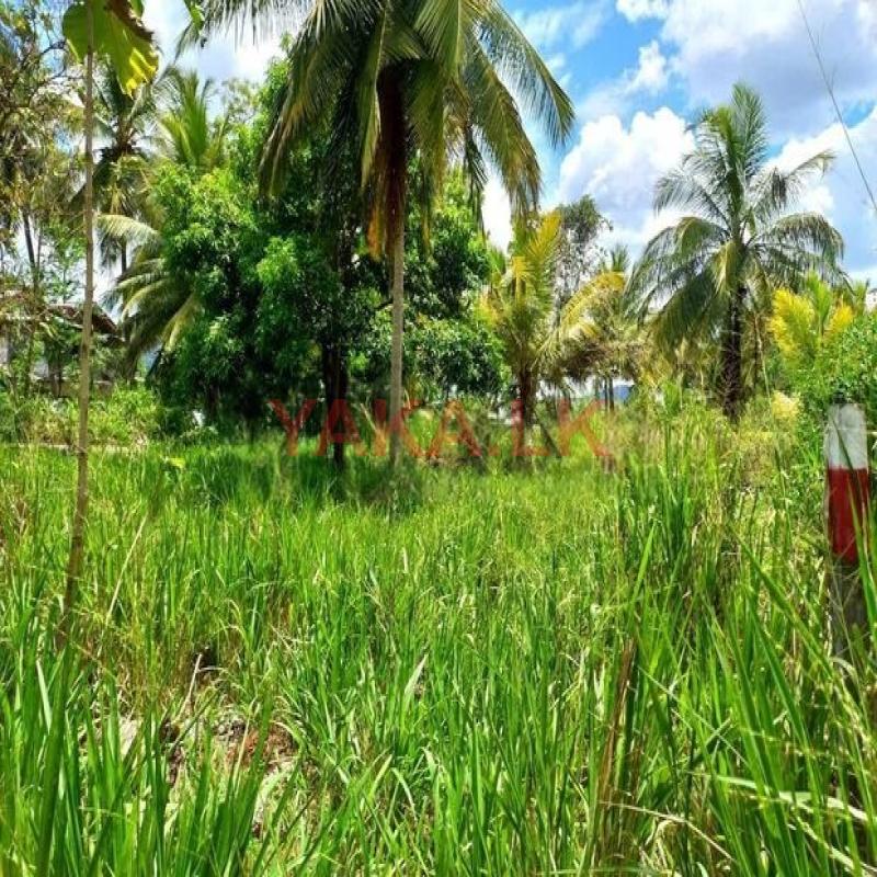 දඹුල්ල සමීපයෙන් අගනා ඉඩමක් (දඹුල්ල - කුරුණෑගල මාර්ගය)