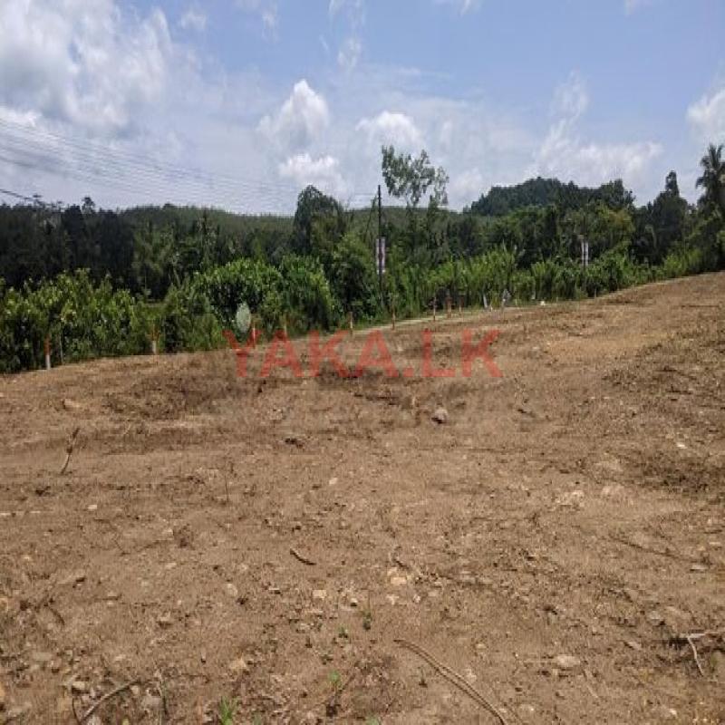 Land for Sale හොරණ