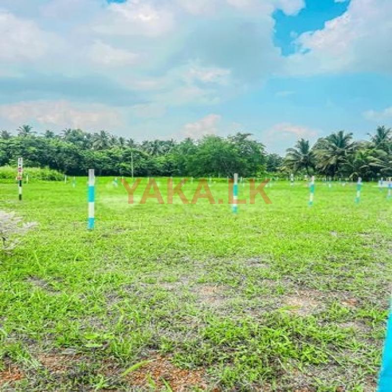 Land for sale in kuliyapitiya p23