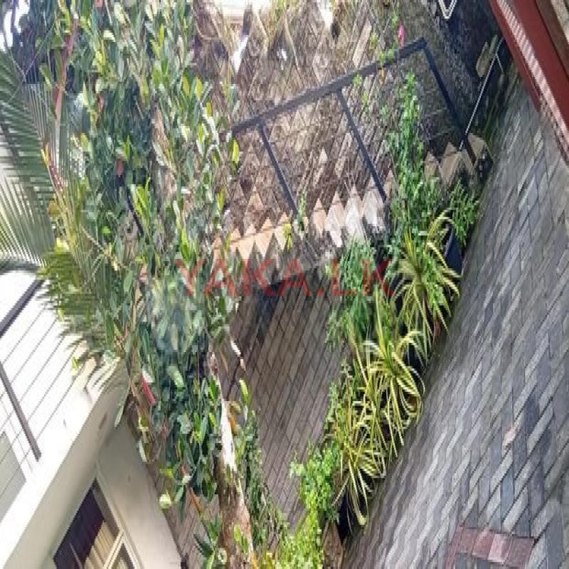 Special for a Couple,Semi Furniture Upstair House Rent in GreenParth