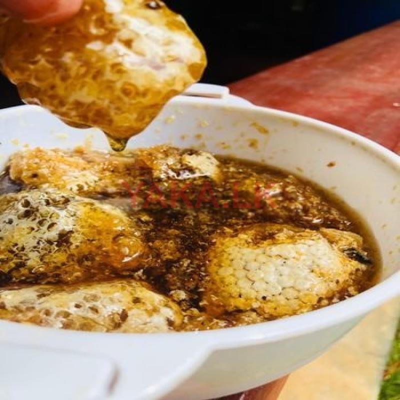 Bee Honey මී පැණි தேன்