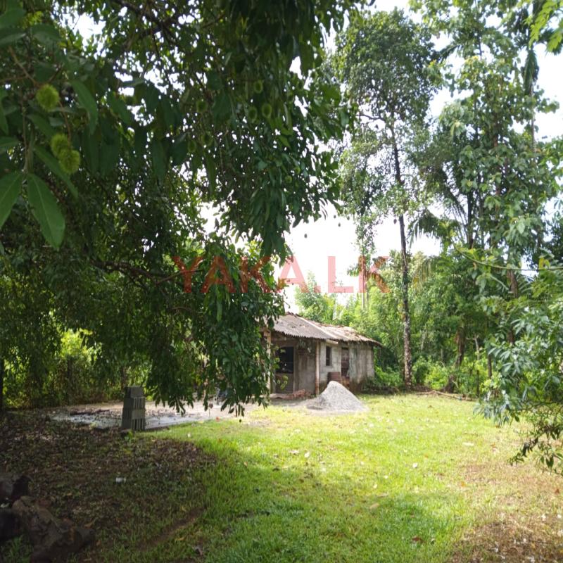 Land for sale