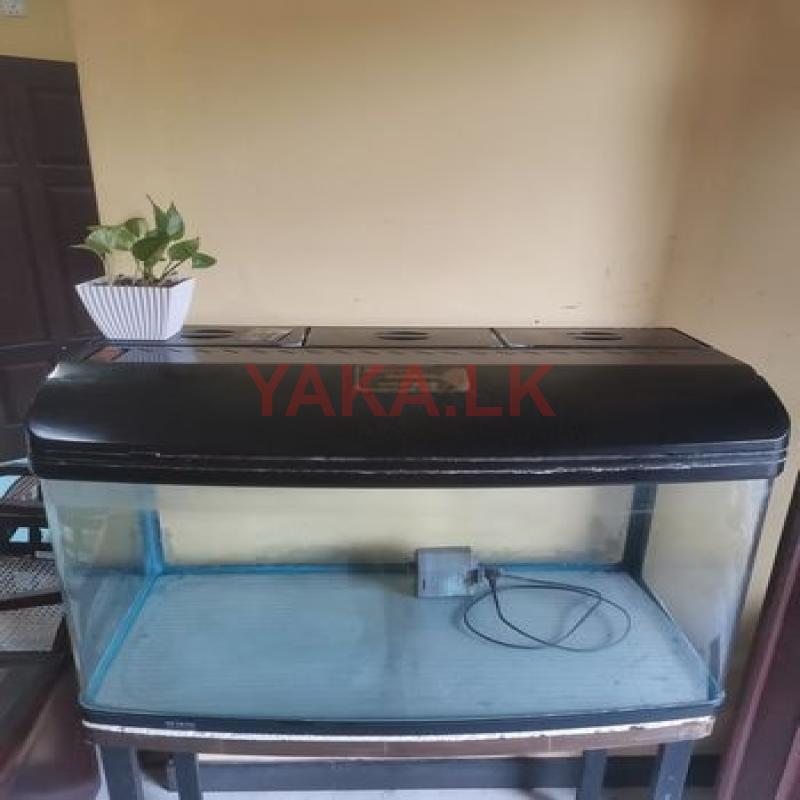 Fish Tank (AR-F830)