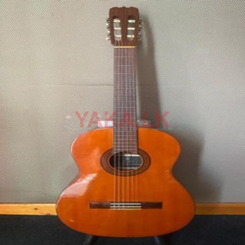 Suzuki Classical Guitar