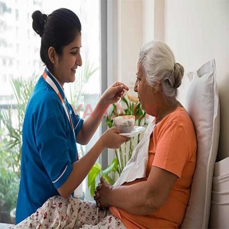 Housemaid and Elder care services.