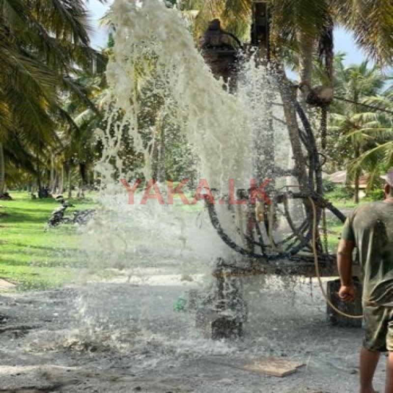 Tube Well - ගම්පොළ