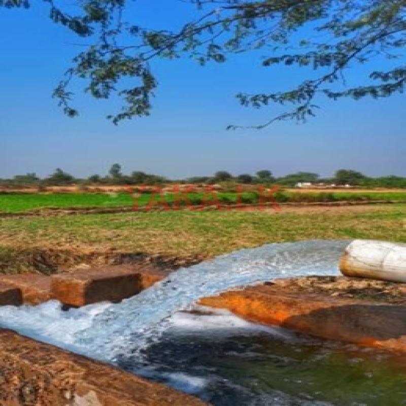 Tube Well - හොරණ