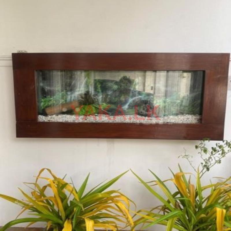 Wall Fish Tank with Filters