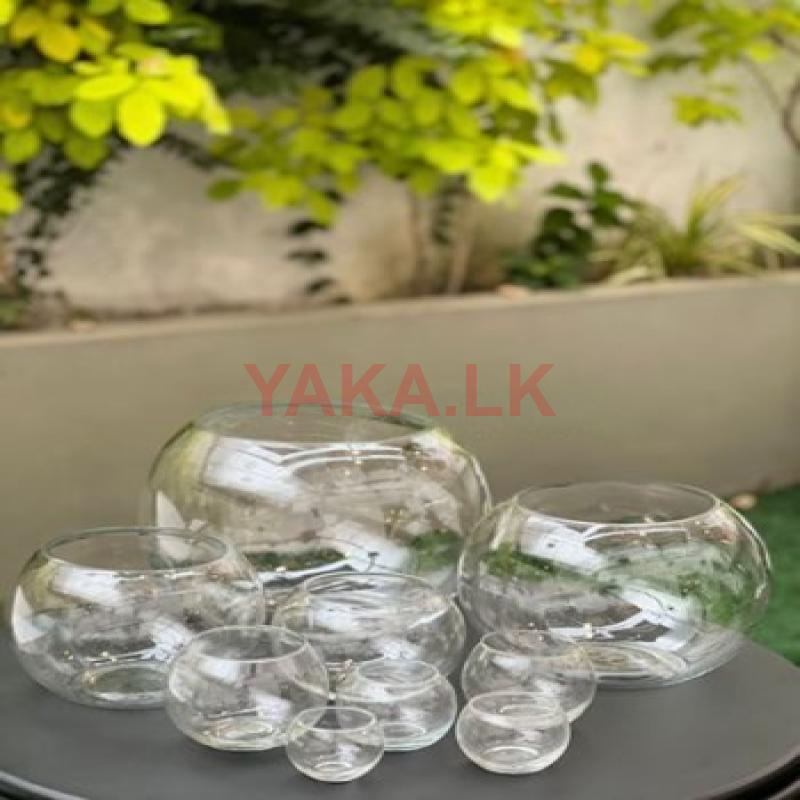 Glass Bowl