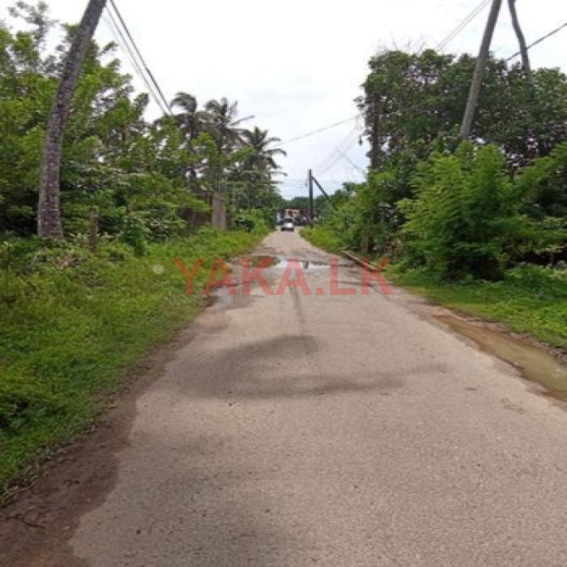 220 P Superb Commercial Land for Long Term Rent, Close to Main Road