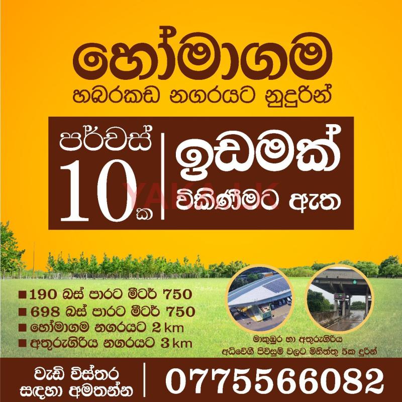 Homagama land sale