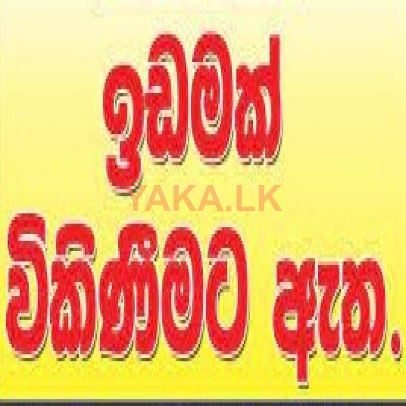 ඉඩමක් විකිණීමට මොරගහහේන පාදුක්ක