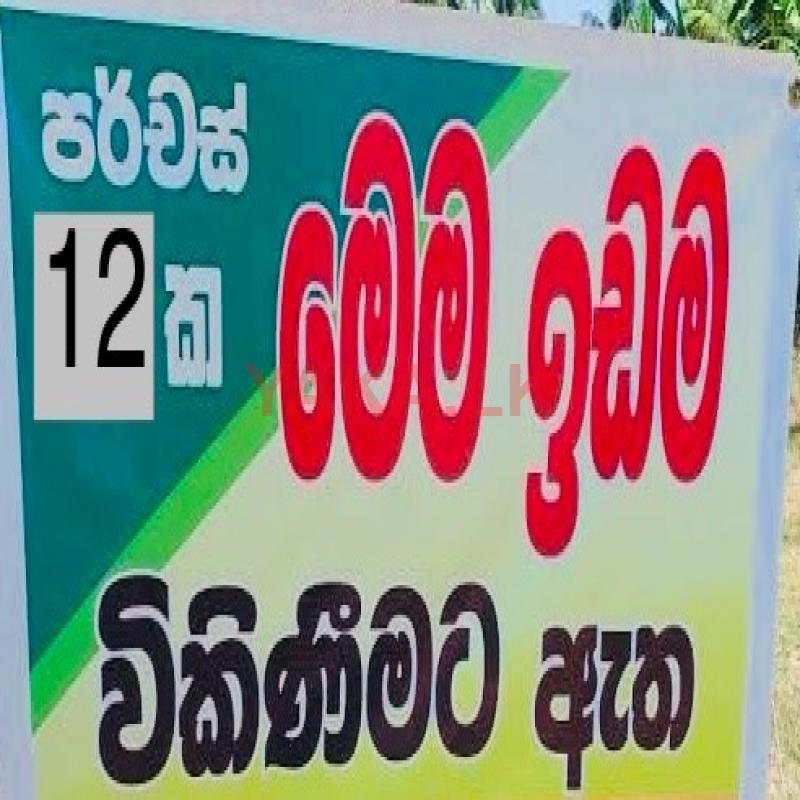 ඉඩමක් විකිනීමට ඇත හොරණ නෑබඩ හේලීස් ආයතනය ලගම