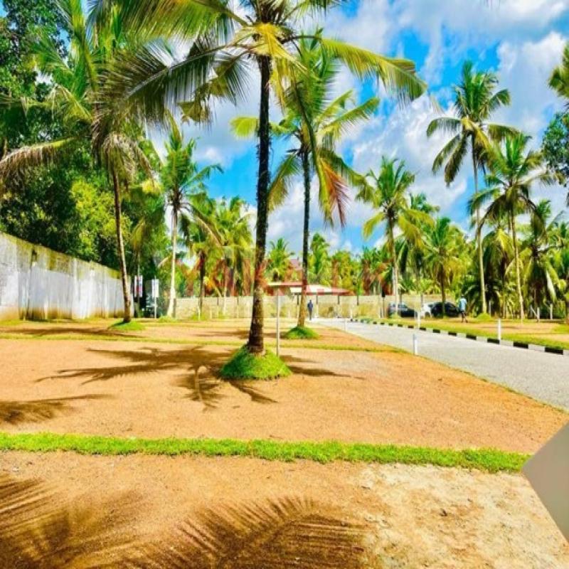 Walking Distance to Kandy Road Valuable land for Sale in Yakkala City