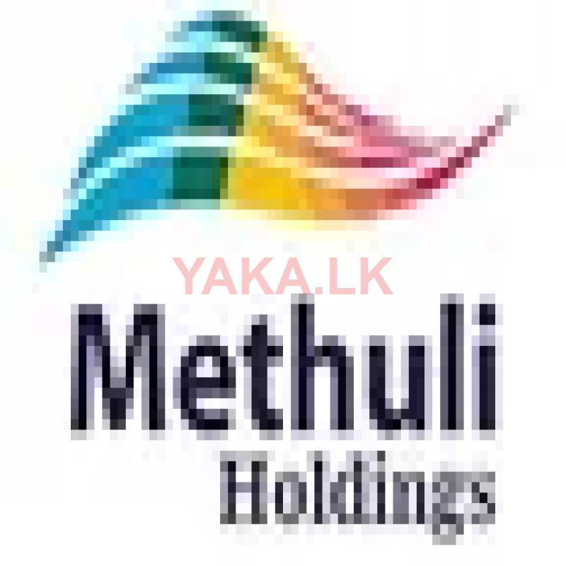 Office Assistant - Female