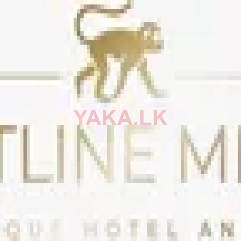 Receptionist - Male Mirissa