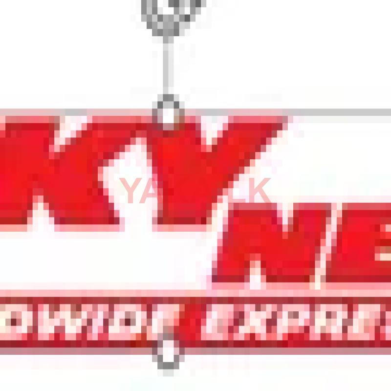 Customer Services Executive