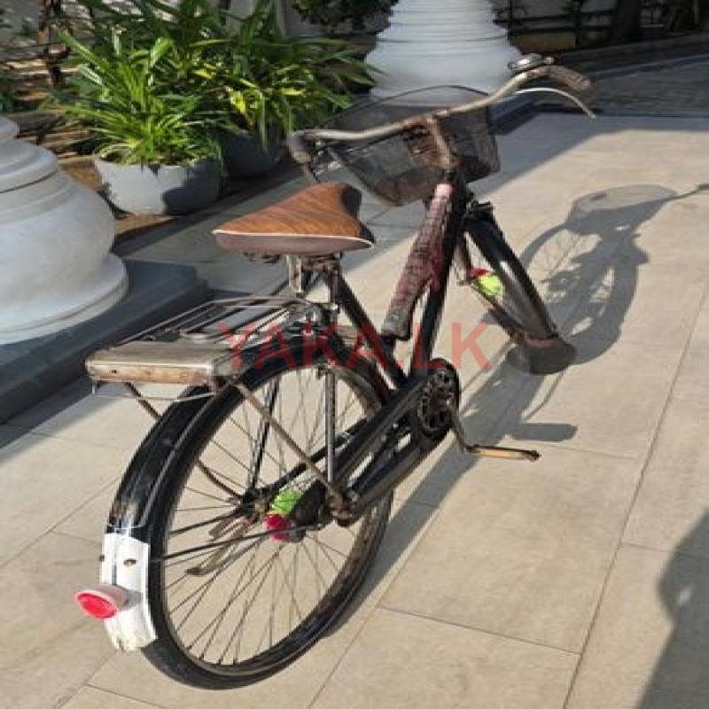 Lumala Bicycle