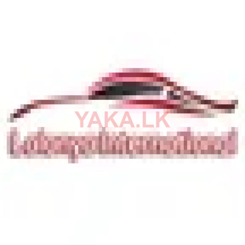 Business Development Executive