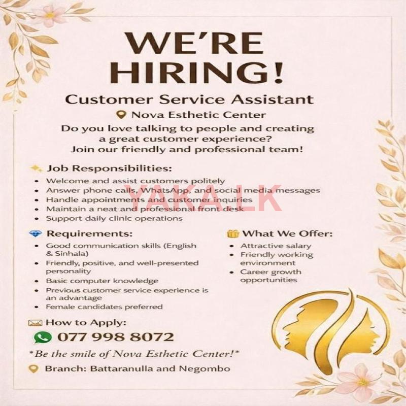 Customer Service Assistant