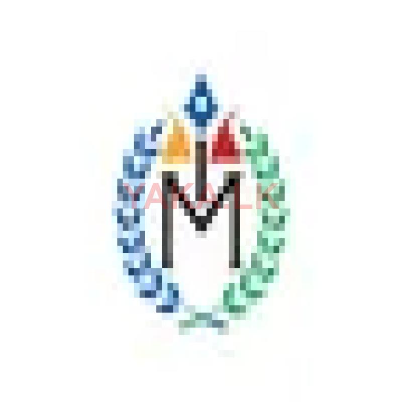 Office Assistant - Male