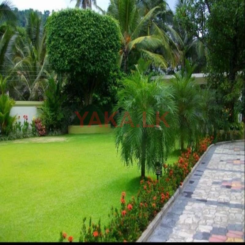 garden services landscaping