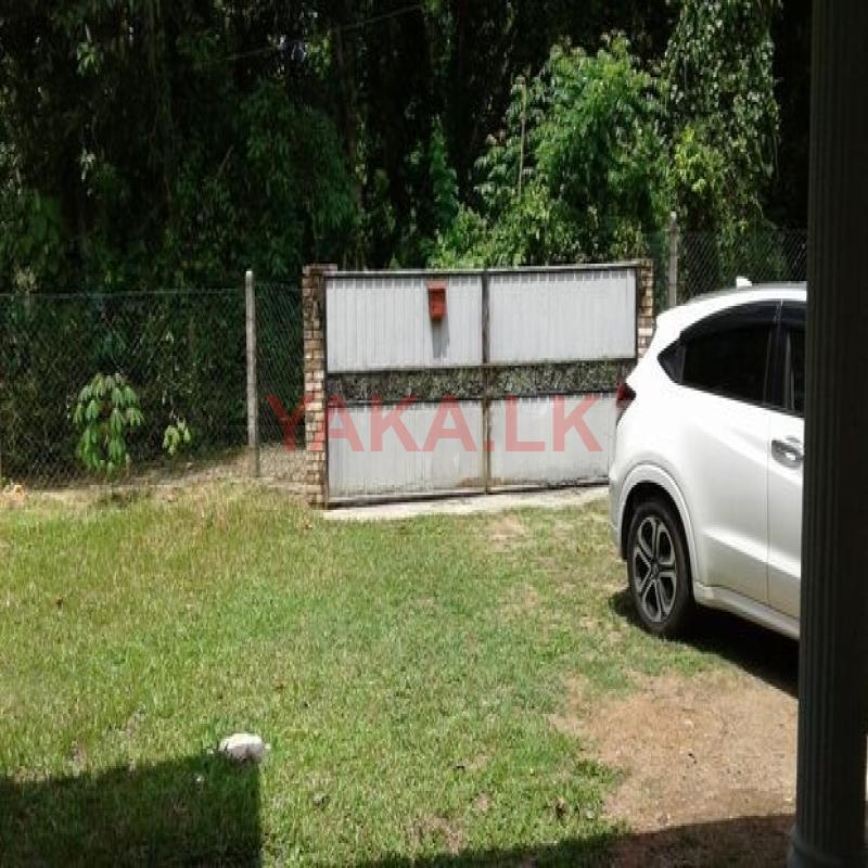 (S1280) Single Storey House for Sale in Minuwangoda