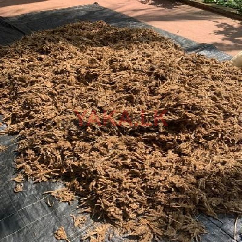 குரக்கன்