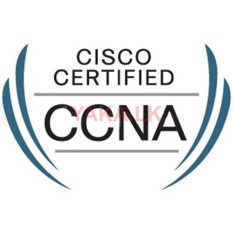 Cisco CCNA/CCNP Classes (Networking)