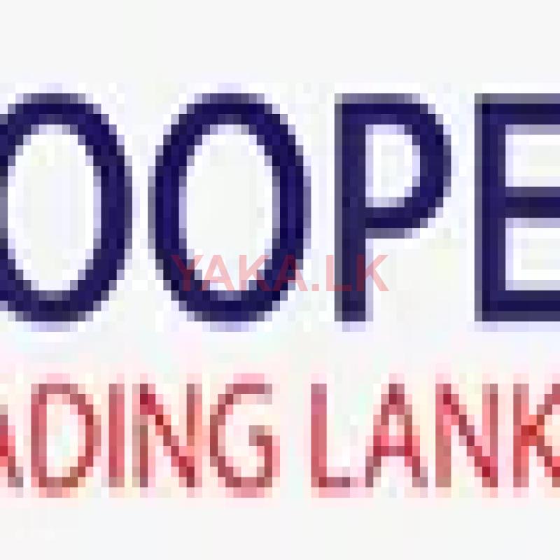 Light Vehicle Driver Pannipitiya