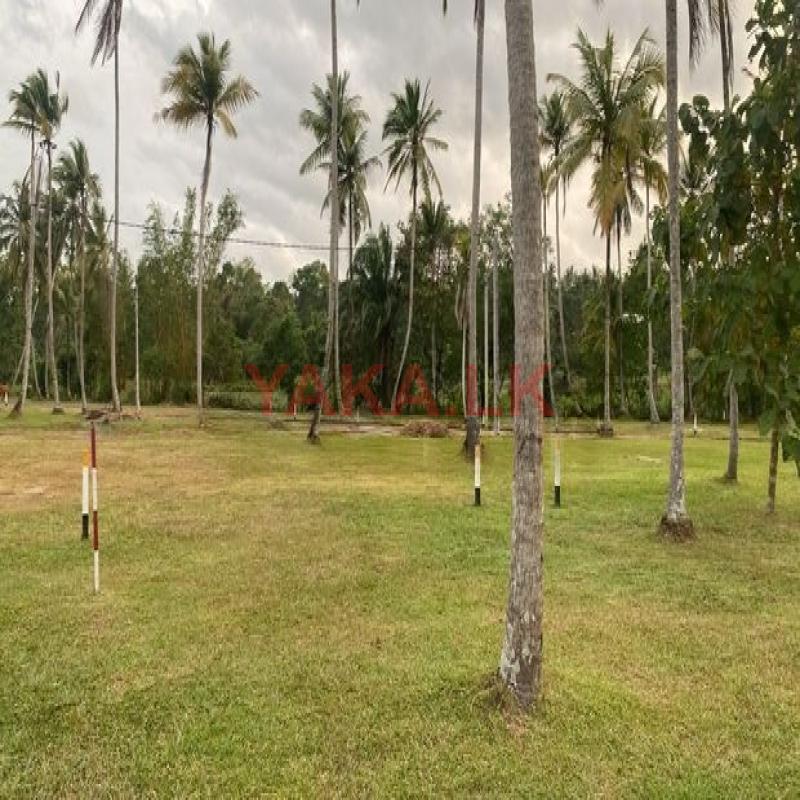 Land for sale in Negombo, Mellawagedara