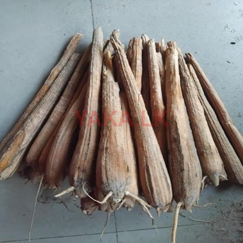 பனங்கிழங்கு