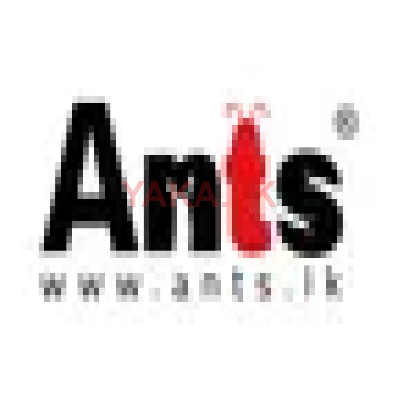 Call Center Executive