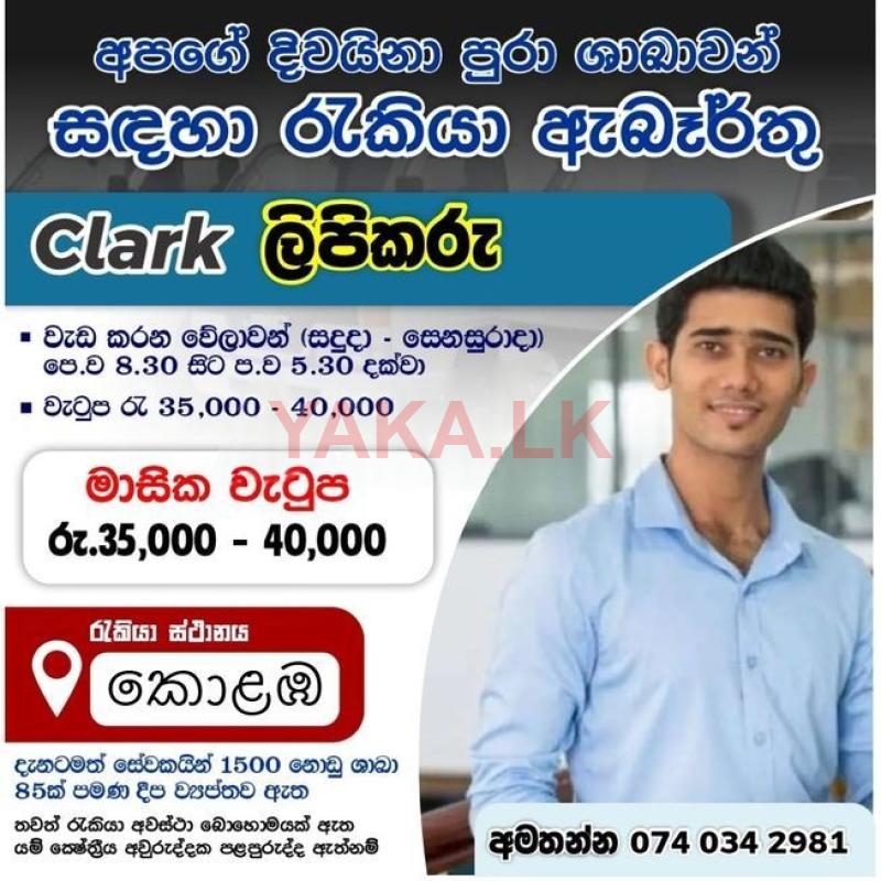 ලිපිකරු/ලිපිකාරිනී - කොළඹ